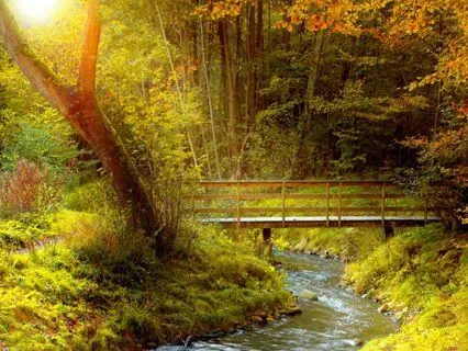 Honour To The Divine Mother - Raga Durga Musical Meditation