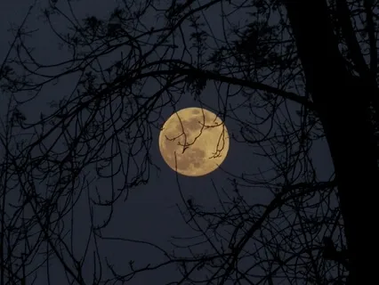 Honour Your Moon Cycle