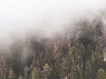 Honouring Origin · Vocals & Guitar · 11-Min Sound Meditation