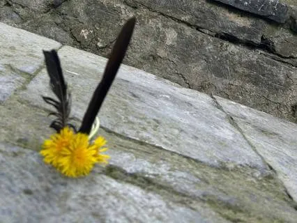 Honouring Sacred Spaces - Sep 11