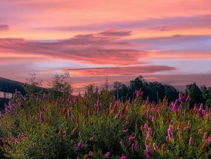 Honouring The Beauty In All Beings