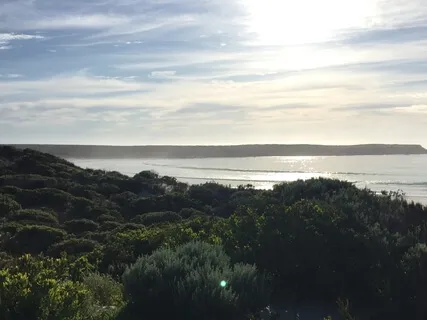 Honouring Natures' Four Elements