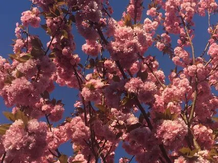 Honouring The Messiness Of Feeling