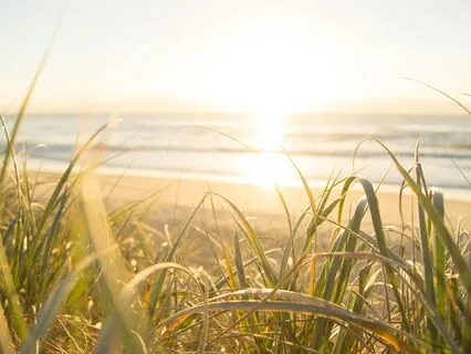 Honouring The Present Moment Affirmations