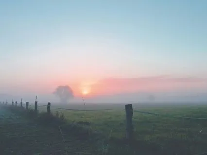 Honouring Your Anxiety