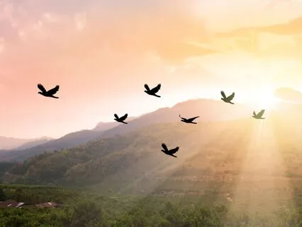 Honouring Your Energy | Inspired Mornings