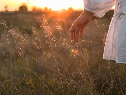 Honouring Your Human Experience - From Struggle To Stability