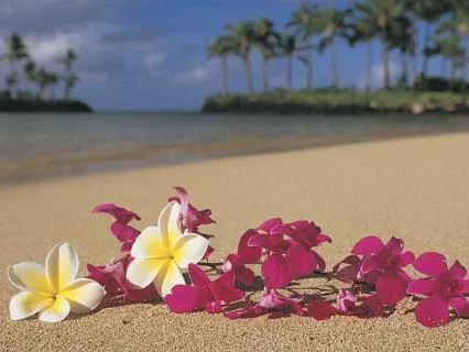 Honouring Your Voice With Ho'oponopono