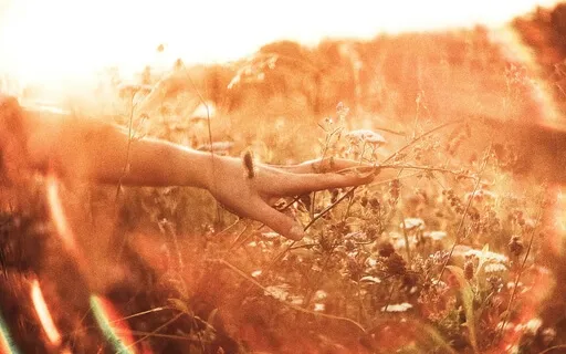 Ho'oponopono- Flute Meditation For Forgiveness And Healing