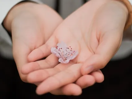 Ho'oponopono Forgiveness And Softening To Joy Meditation