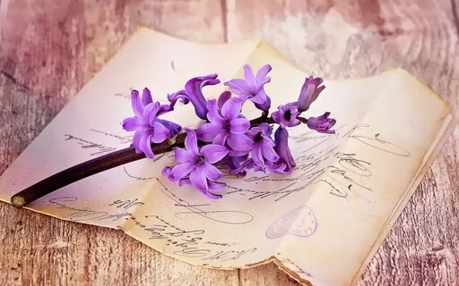 Hoʻoponopono Mantra Healing Song