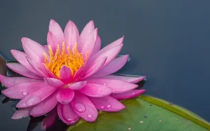 Ho'oponopono meditation