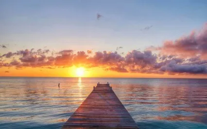 Ho'oponopono Meditation With Trish Rock - Healing Or Sleep 