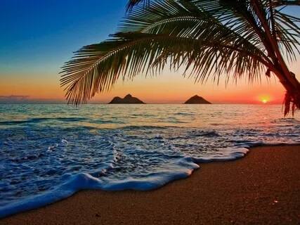 Ho'Oponopono Prayer Of Love, Healing & Forgiveness