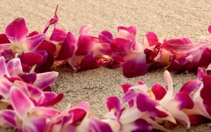 Hoʻoponopono Prayer Of Reconciliation & Forgiveness