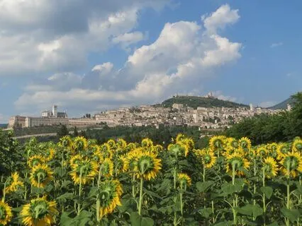 Hope - 432Hz - Healing Harp Sounds - For Relaxation