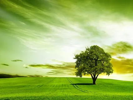 Hope And Action Together Create That Perfect Impact That We Are Eager For