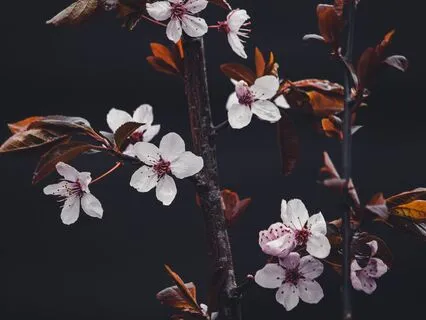 Hope And Despair: A Micro Story