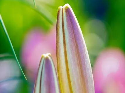 Hope & Love Poems - A Way Of Life