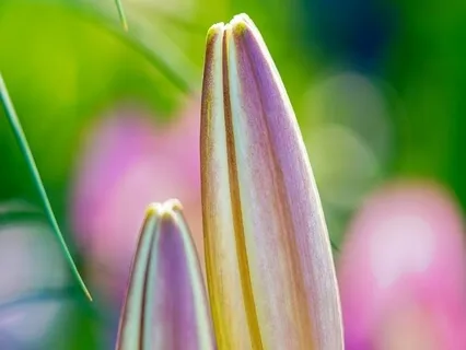 Hope & Love Poems - Friendship