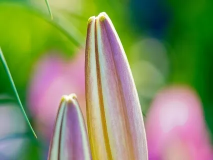 Hope & Love Poems - Intentional Living