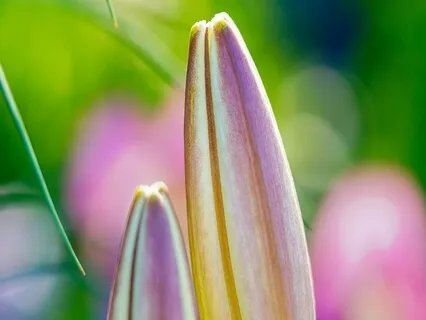 Hope & Love Poems - Moments