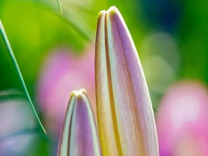 Hope & Love Poems - Today