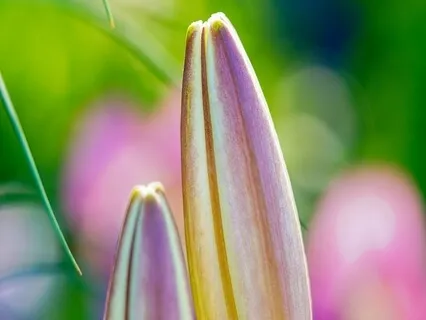 Hope & Love Poems - You Are The One