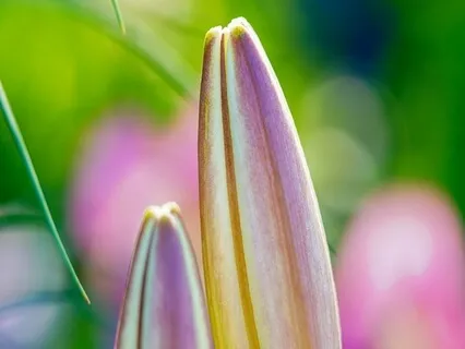 Hope & Love Poems - Your Prayers Answered