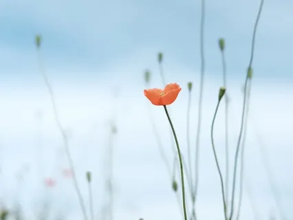 Hope: Between Now & Not Yet