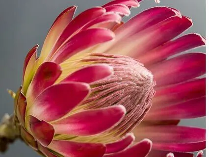 Hope For A More Peaceful World