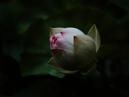 Hope For Us All | The Wisdom Podcast  | Season 2 Episode 5