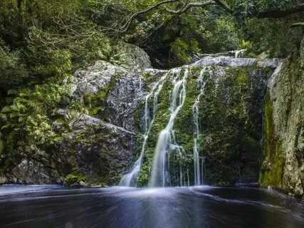 Hope, Health & Happiness Affirmations