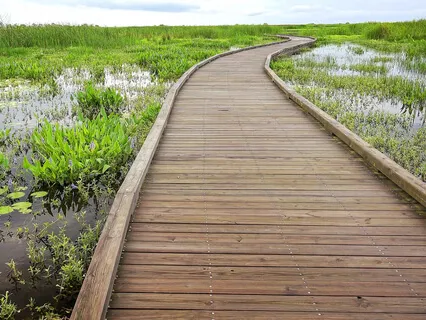 Hope, Health & Happiness Intro Talk