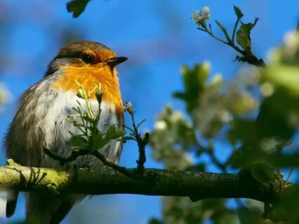 Hope In Fresh Thought: A Daily Grounding Ritual