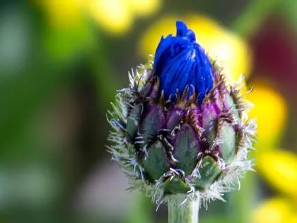 Hope In Hard Times - How To Thrive When You Feel Lost