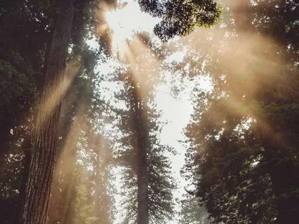 Hope In The Darkness (Solo Piano)