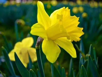 Hope In The Smallest Things - March 15