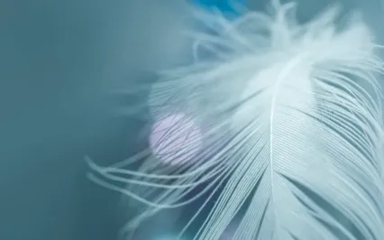 Hope Is A Thing With Feathers