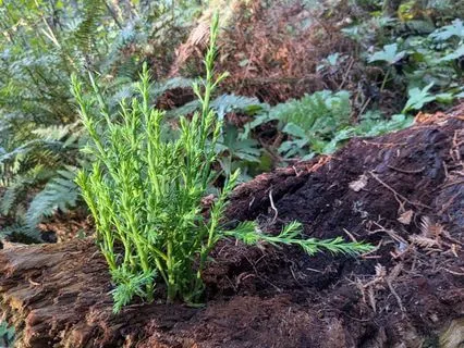 Hope | Mindful Motivation