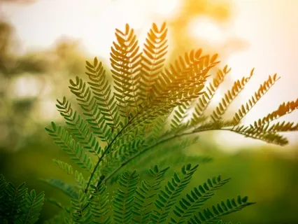 Hope - Positive Calming Music For Stress Relief And Anxiety