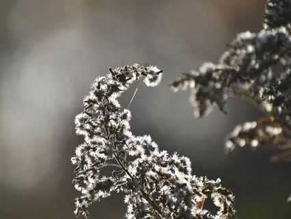 Hopeful Piano Music For Meditation And Inspiration