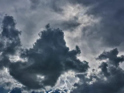 Hoping for a More Beautiful Day