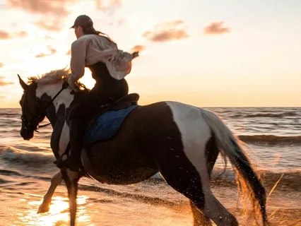 Horse Riding At The Ocean Visualization For Joy