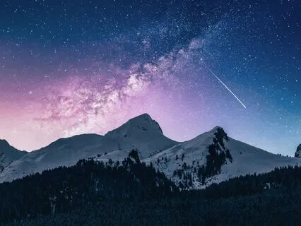 Hot Dogs - An Uneventful Tale