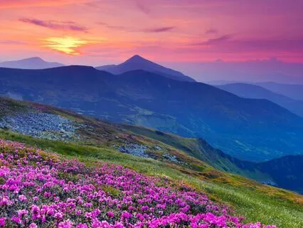 1-Hour Deep Relaxation Guitar | Calm Your Mind