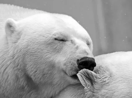 How Are You Feeling In Your Relationship