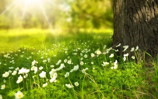 How Are You?  Reflective Meditation