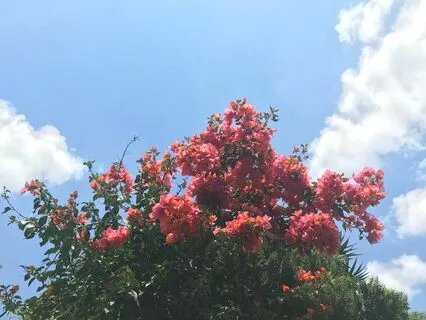 How Body Awareness Helps Settling The Mind