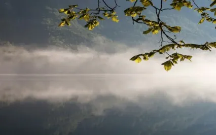 How Can Your Life Be A Beacon Of Peace?